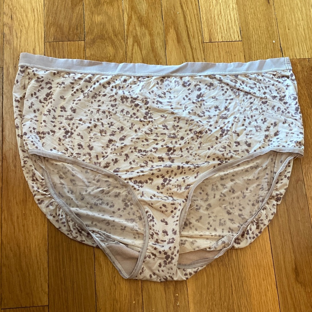Breezies Light Pink Floral Print Brief Panties
